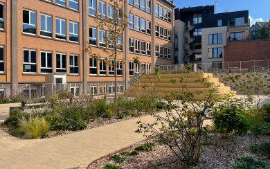 MABO sports infrastructure